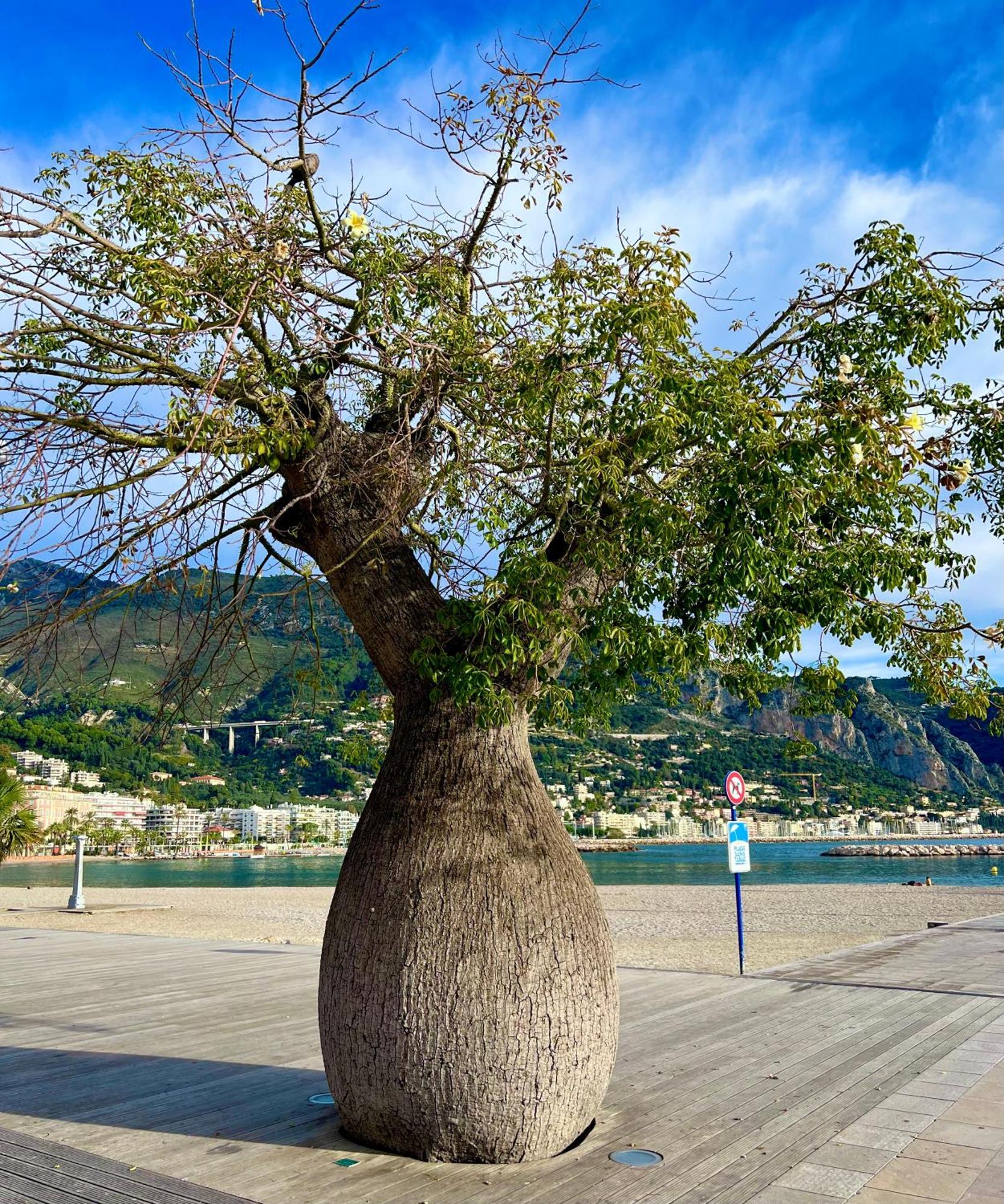 Apartamento Petit Vue